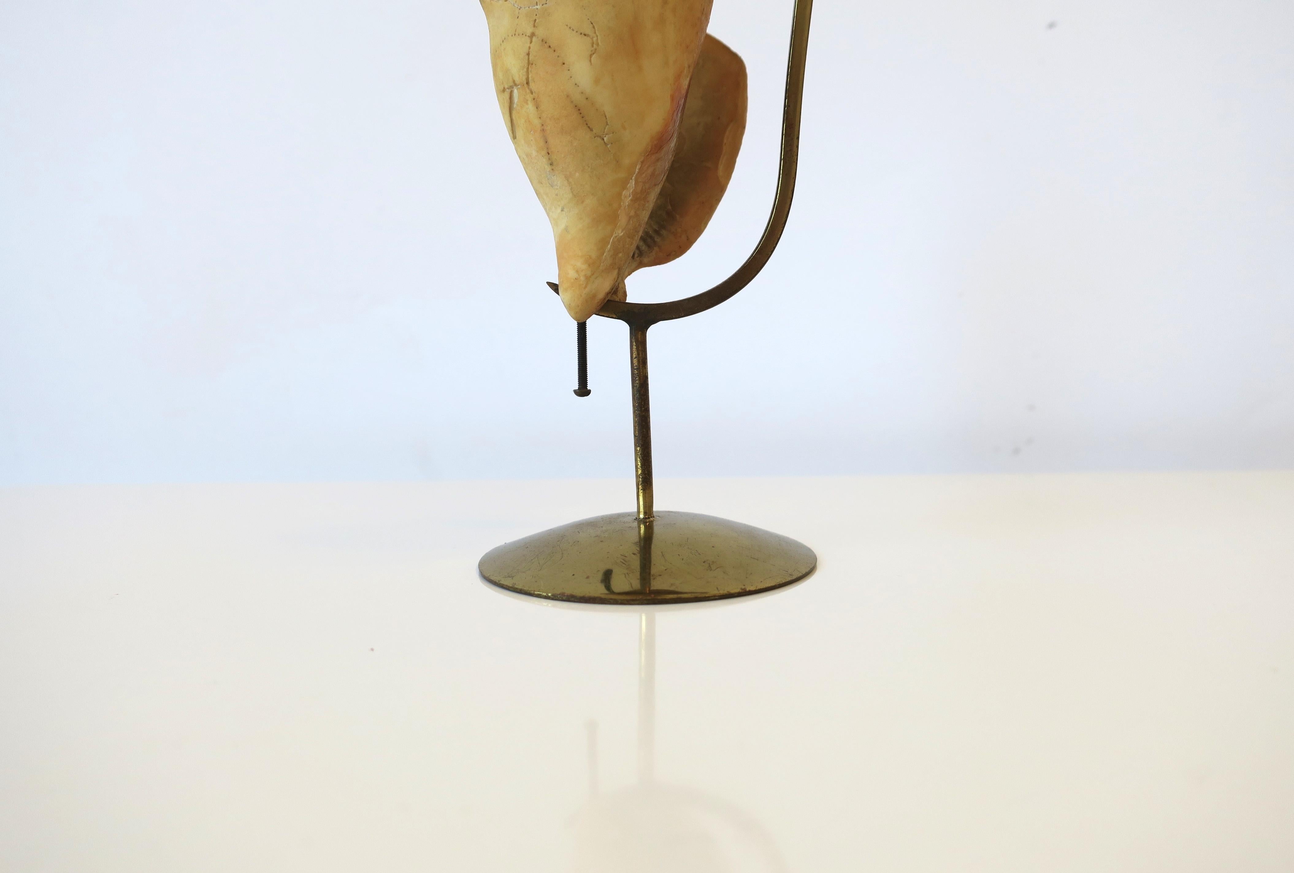Marguerite Stix Designed Natural Seashell and Brass Object, circa 1960s For Sale 5