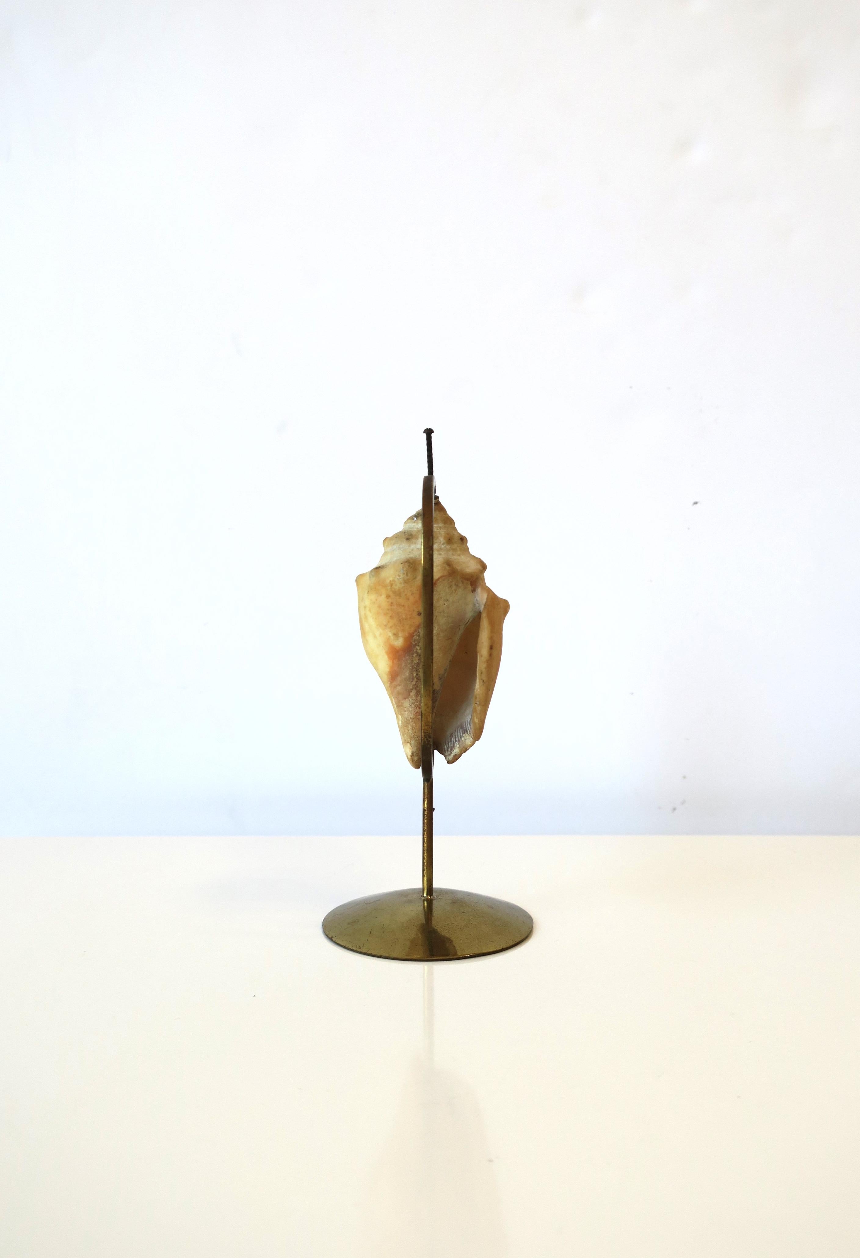 Marguerite Stix Designed Natural Seashell and Brass Object, circa 1960s For Sale 3