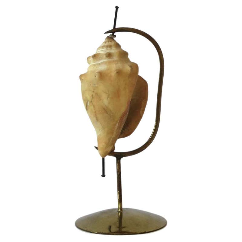 Marguerite Stix Designed Brass Sea Shell Display Stands and Shells ...