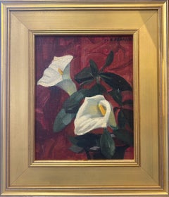 Calla Lily