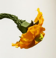 Beber Una Cerveza - 21. Jahrhundert, Zeitgenössische, japanische Kunst, Skulptur