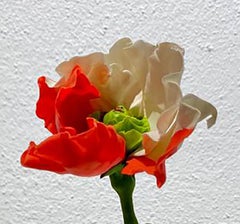 Result Of Radioactive Contamination - 21st Cent, Contemporary Japanese Sculpture