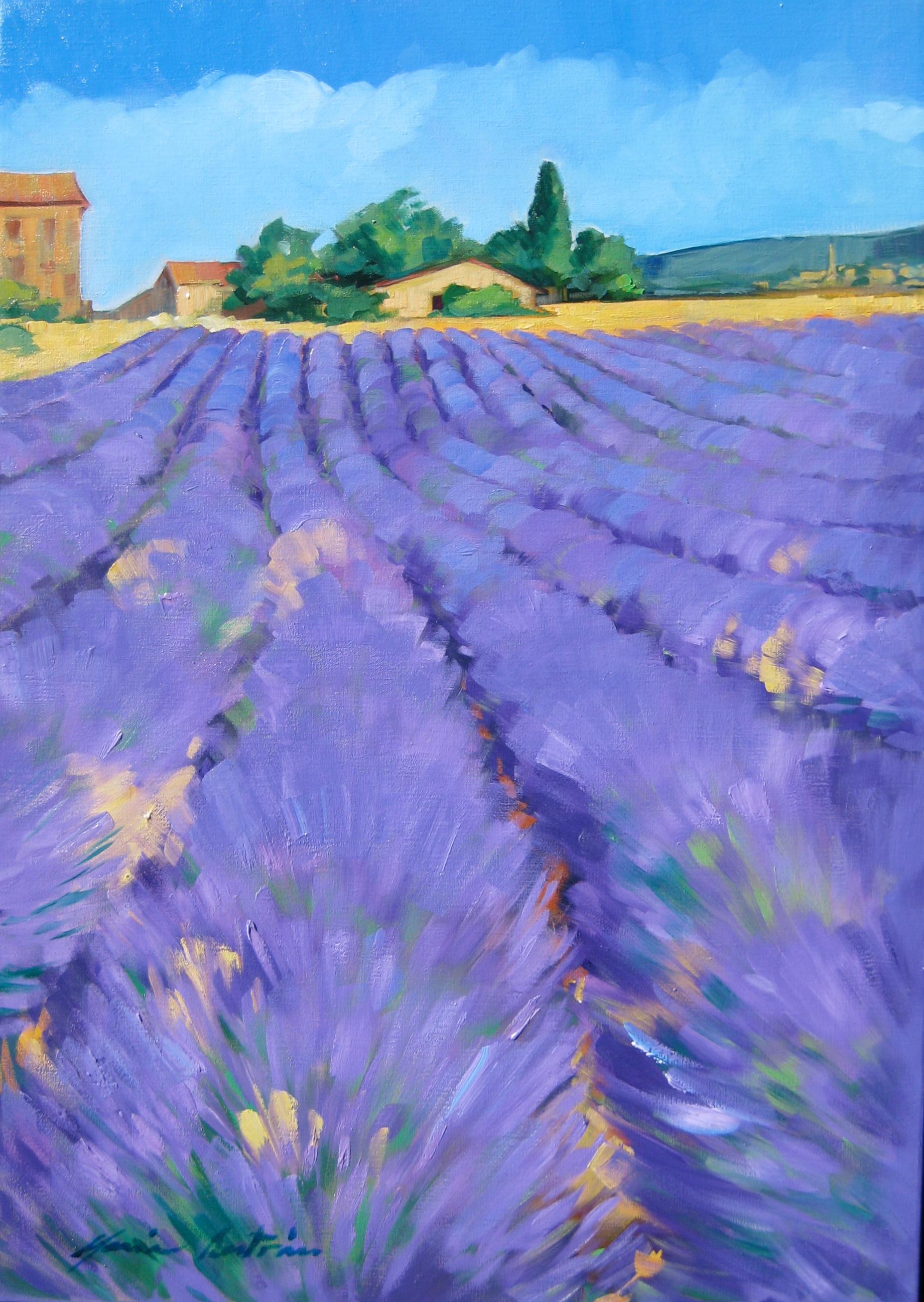 Landscape Painting Maria Bertan - "Peinture à l'huile impressionniste contemporaine "La lavande en bas de la ferme provençale 