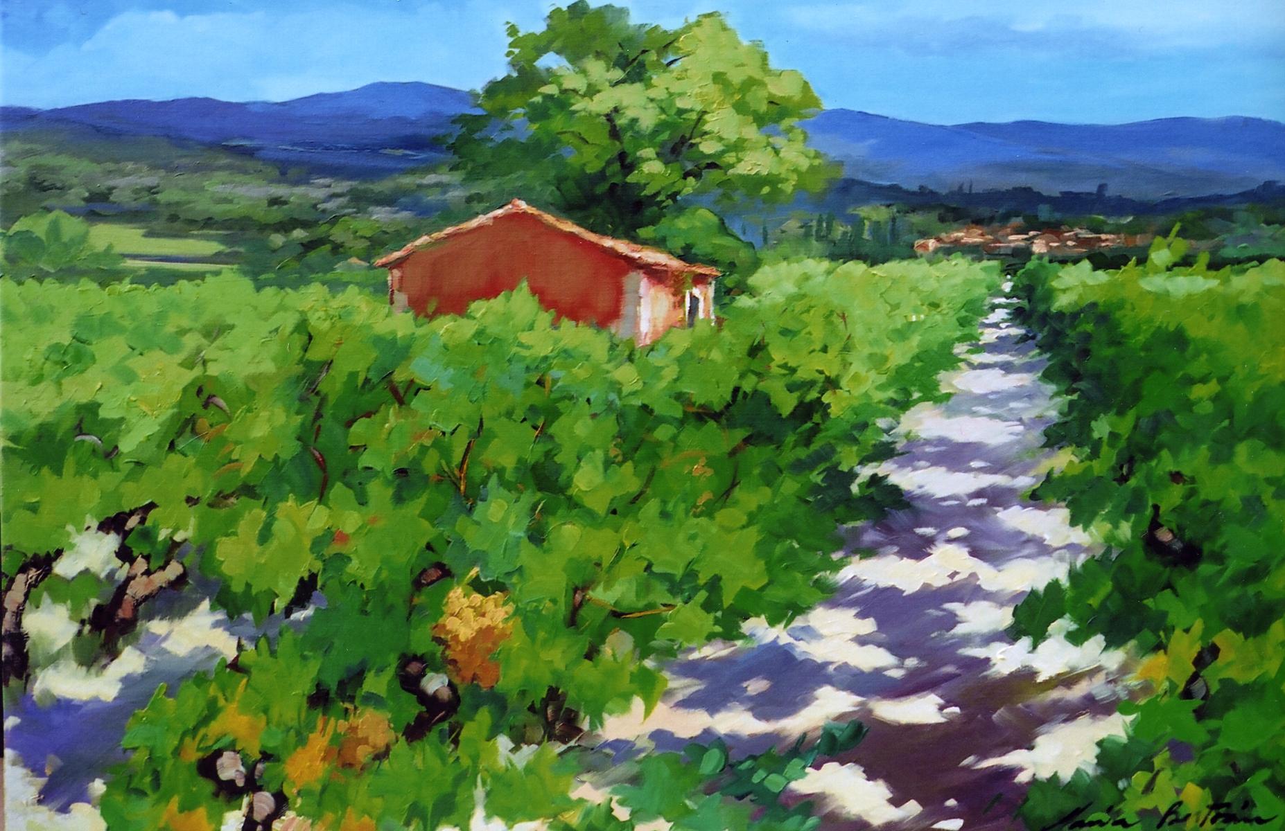 Maria Bertan Landscape Painting - "Path To L'yves " Contemporary Impressionist Oil Painting of Vineyard, Provence