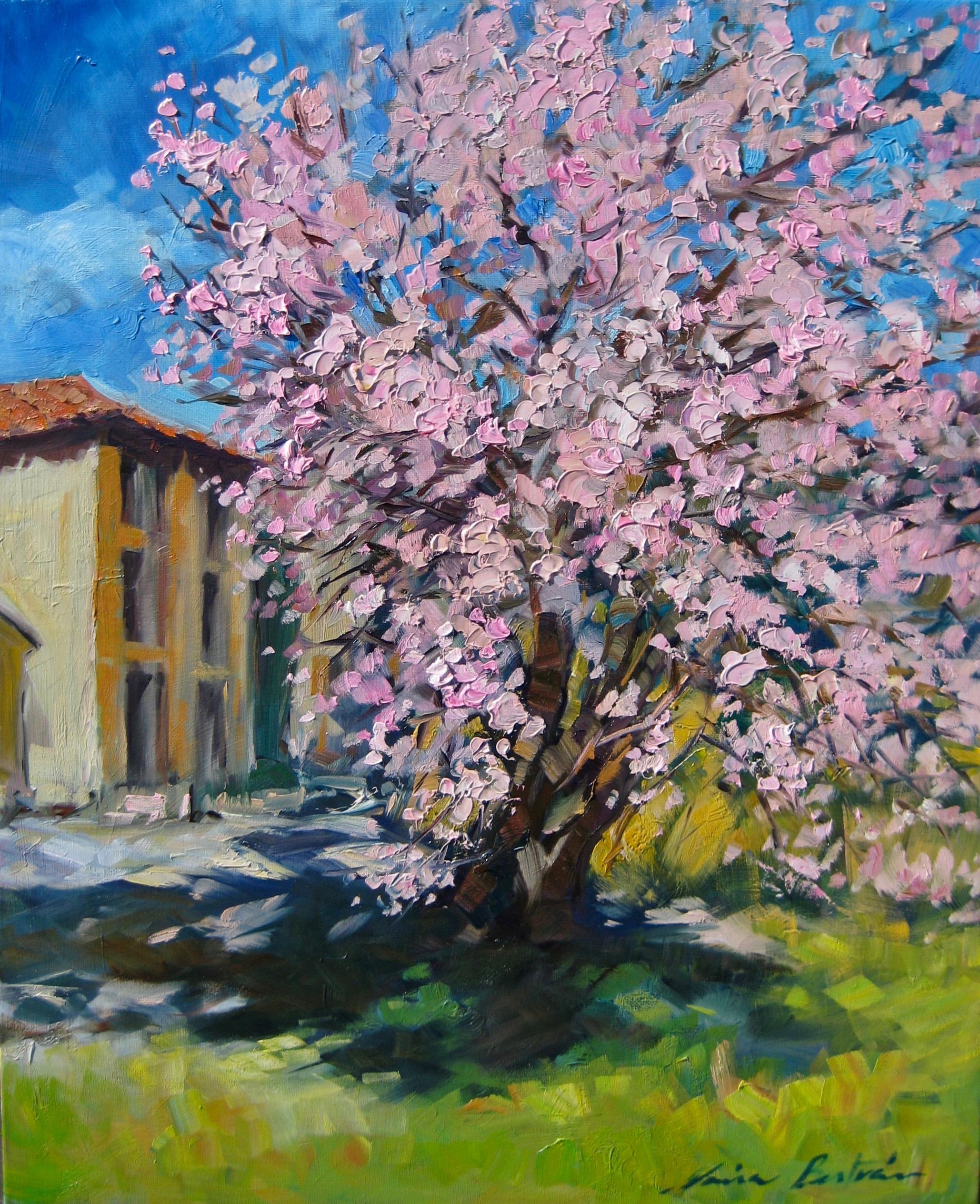 Maria Bertrán Landscape Painting - "Almond Tree In Redons"  Modern Impressionist Oil Painting of Provence
