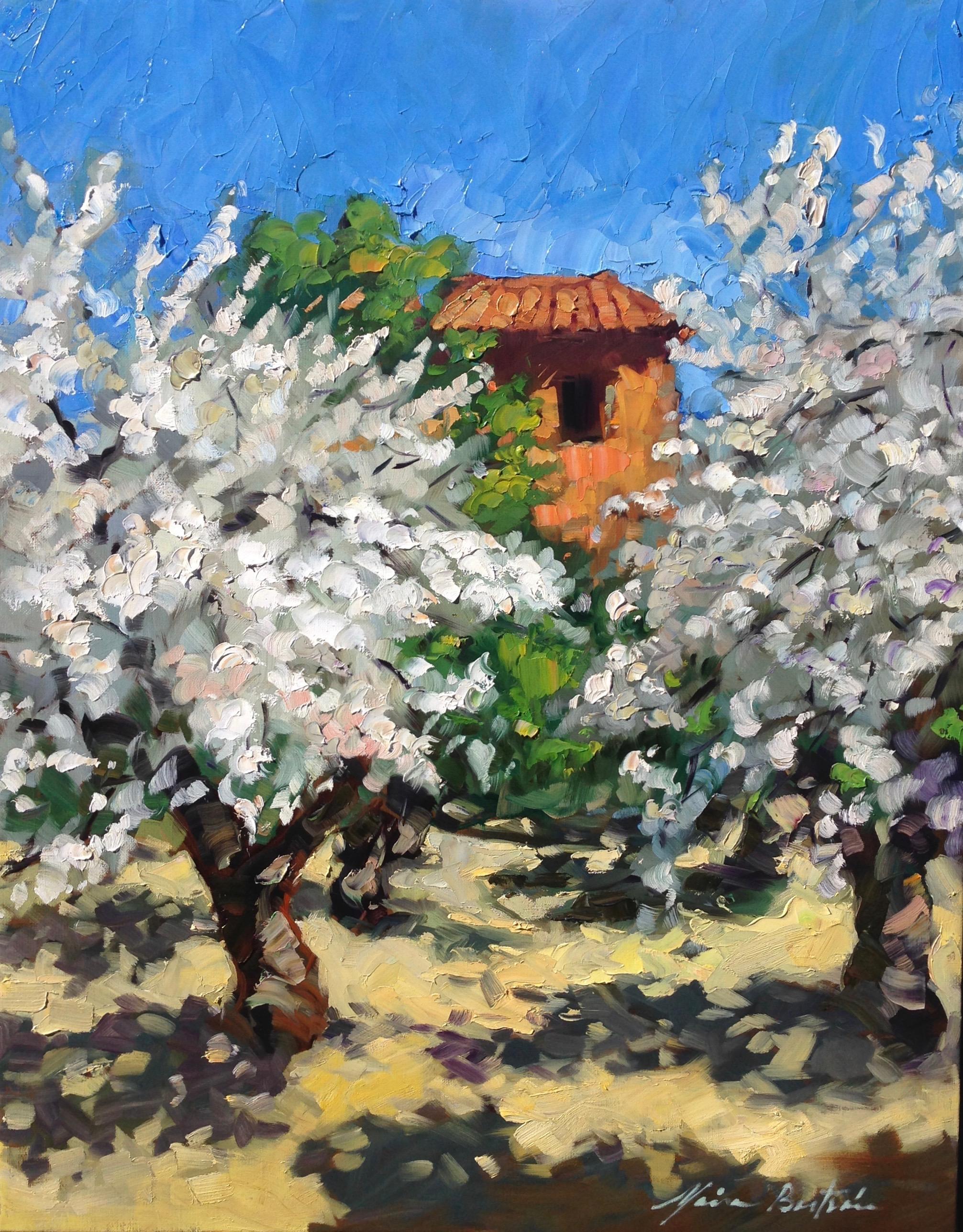 Maria Bertrán Landscape Painting - "Old Cabanon Cherry Orchard"  Contemporary Impressionist Oil of Provence