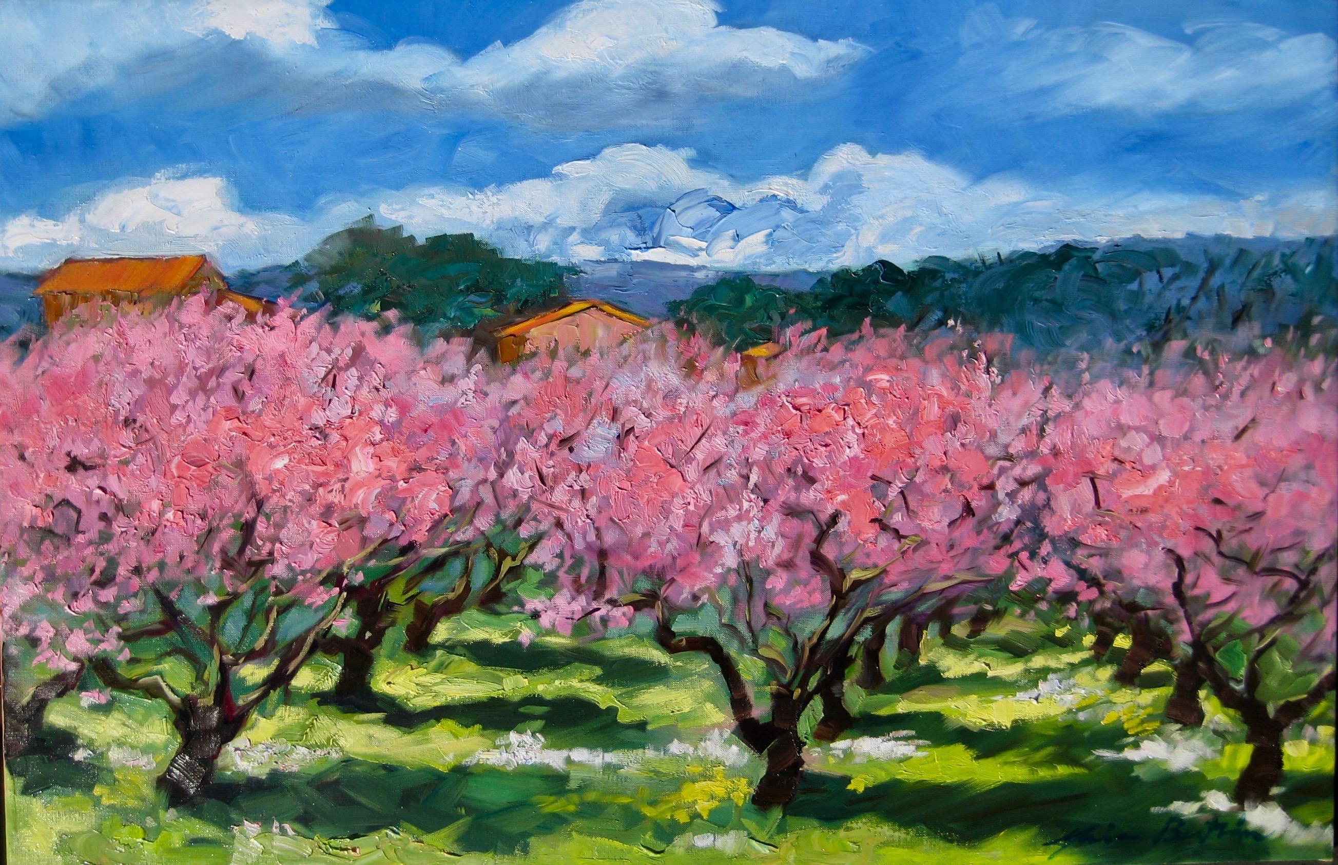 Maria Bertrán Landscape Painting - "Peach Tree Orchard"  Contemporary Impressionist Oil Painting of Provence