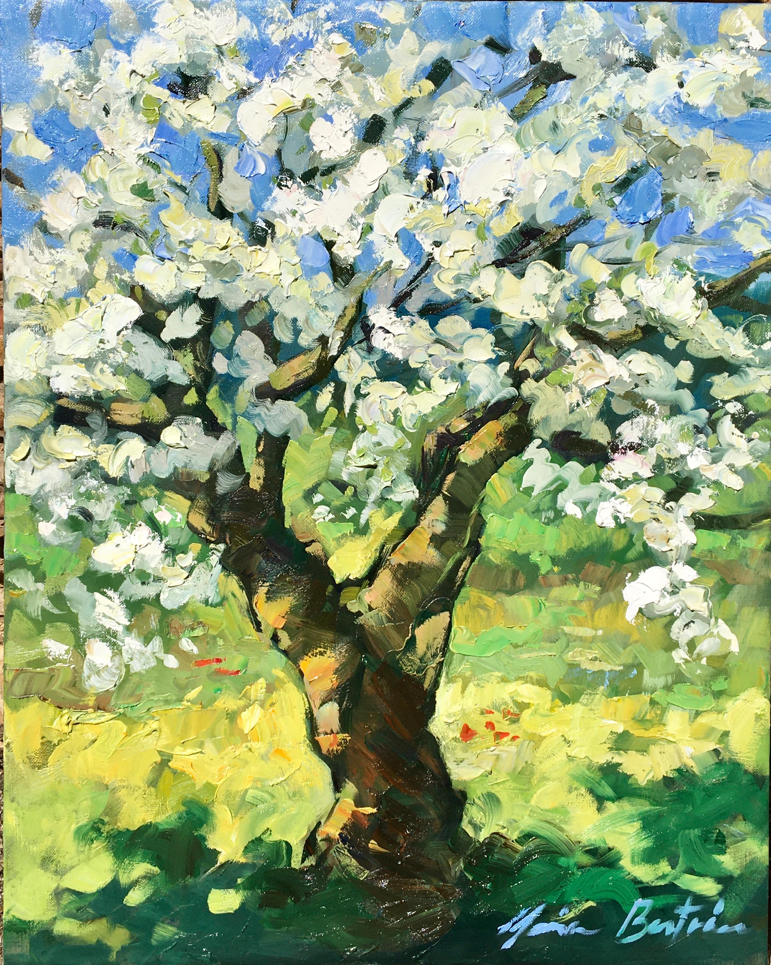 "Single Cherry Tree Blossoms " Contemporary Impressionist Oil of Provence