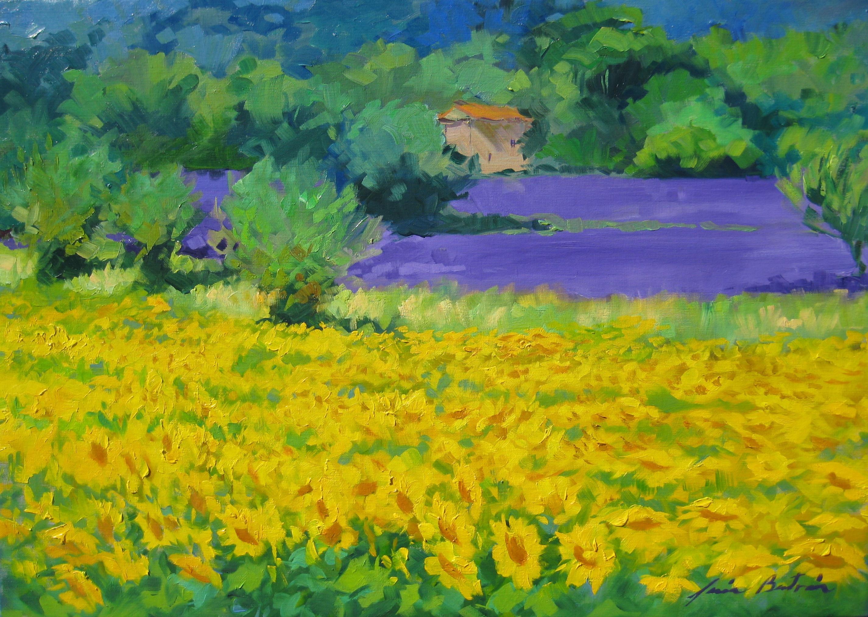 Maria Bertrán Landscape Painting - "Sunflowers In The Lavender"  Impressionist Oil In Provence by Maria Bertran