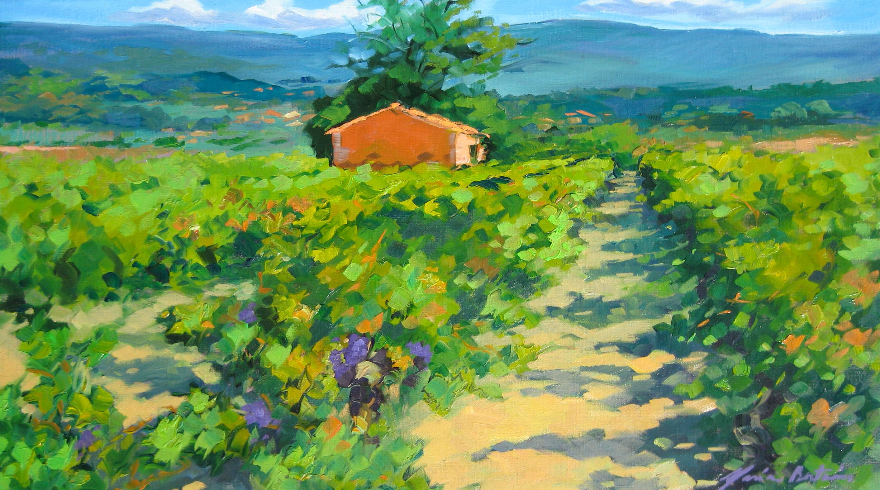 Maria Bertrán Landscape Painting - "Vineyard Near Joucas" Modern Impressionist Oil of Provence by Maria Bertran