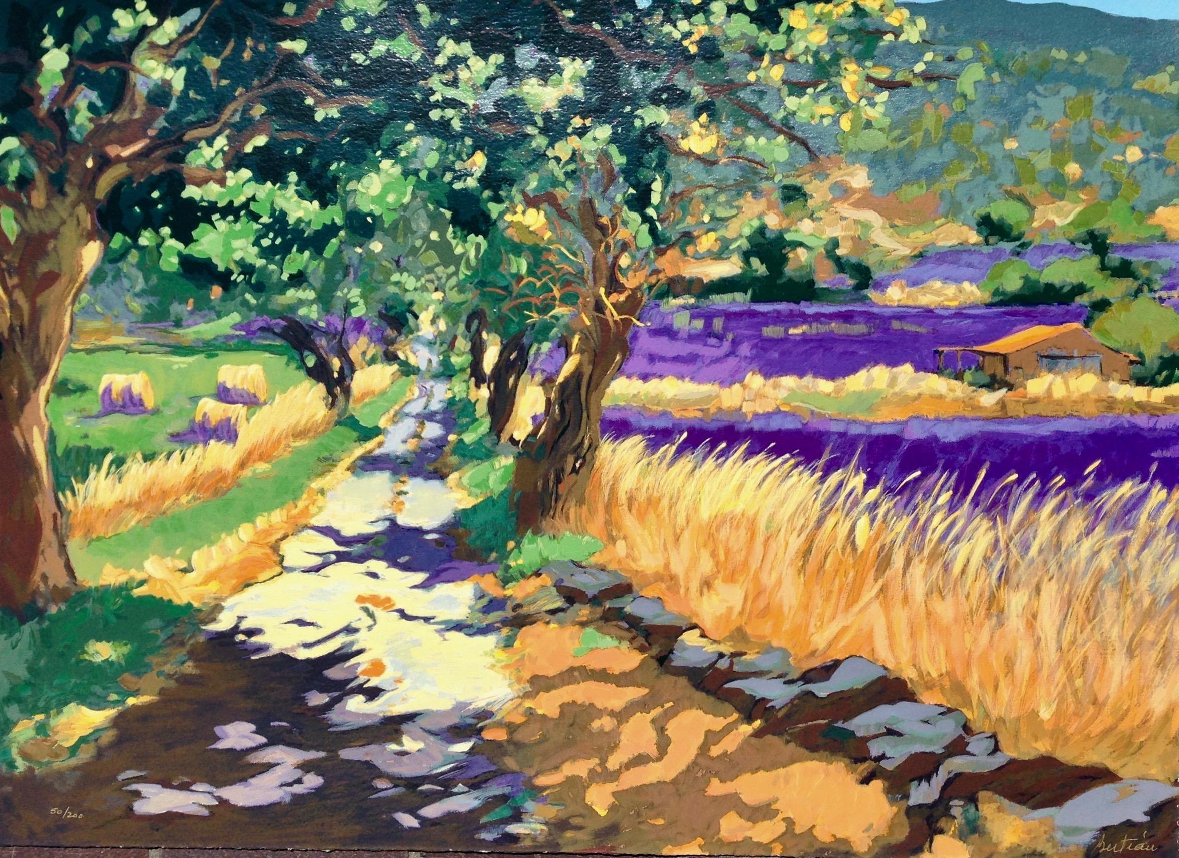 „Road To Sault“  Zeitgenössische impressionistische Serigrafie der Provence, Frankreich – Print von Maria Bertrán