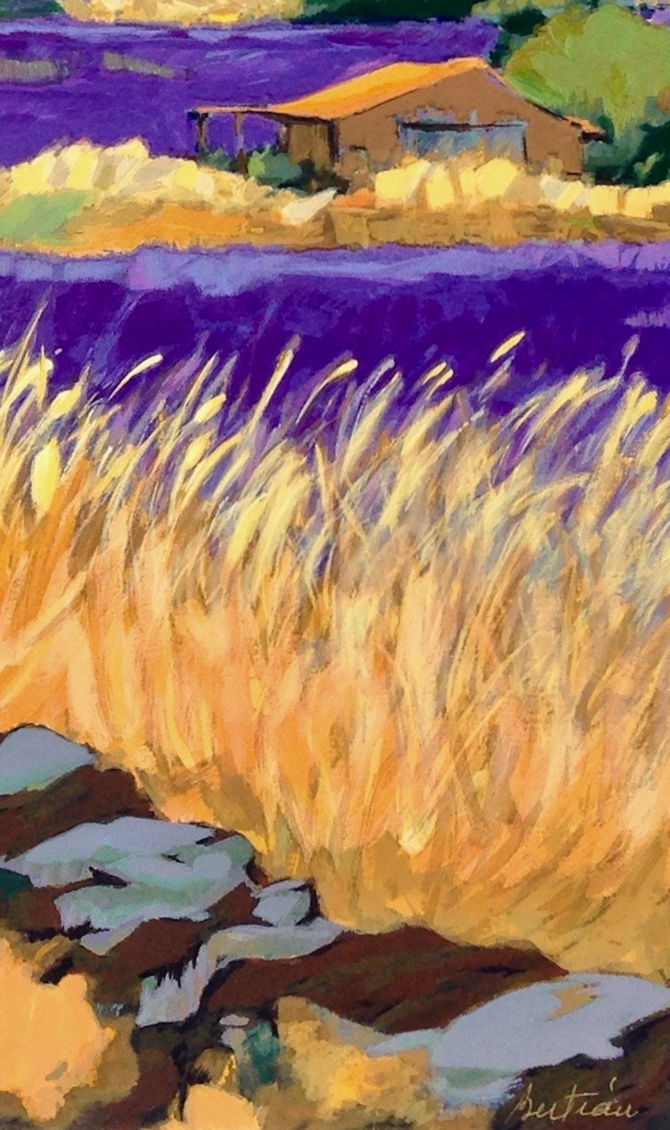 „Road To Sault“  Zeitgenössische impressionistische Serigrafie der Provence, Frankreich (Post-Impressionismus), Print, von Maria Bertrán