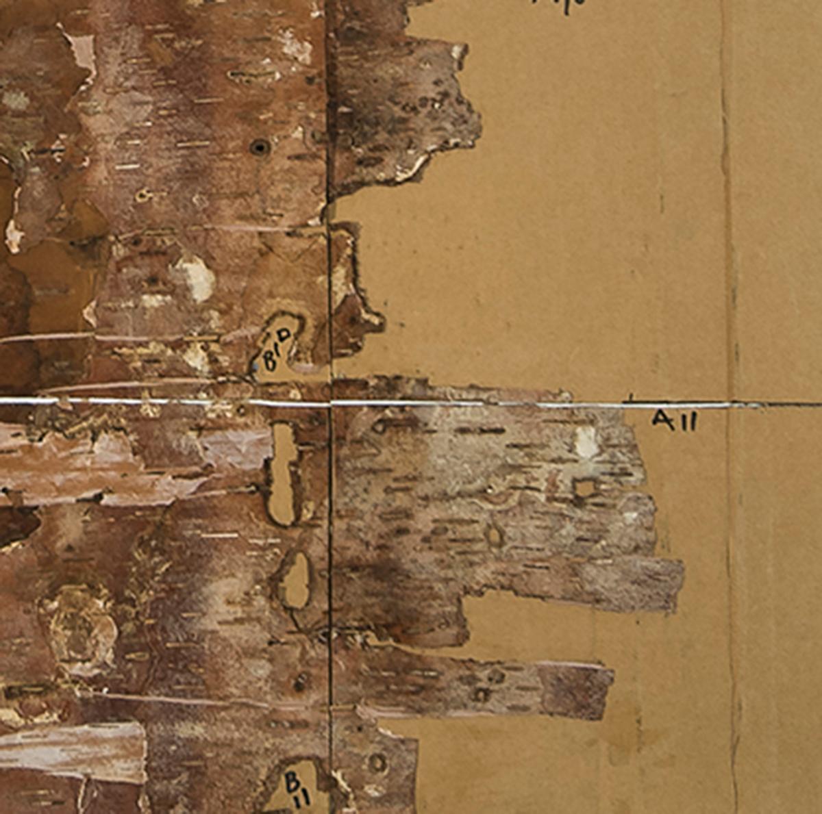 L'artista di origine cubana María Elena González è una scultrice di fama internazionale con sede a Brooklyn, NY, e San Francisco, CA. González intreccia il concettuale con una forte dedizione all'artigianato nelle sue complesse installazioni e