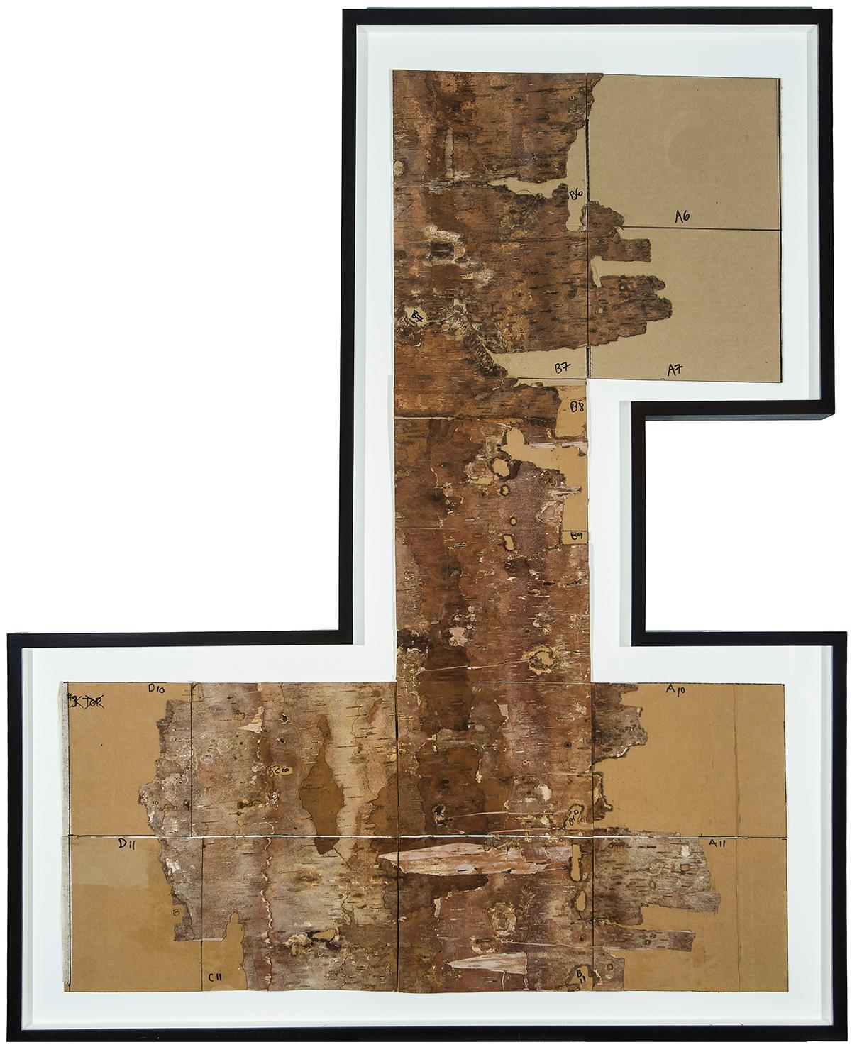 Corteccia incorniciata #2 - Mixed Media Art di Maria Elena Gonzalez