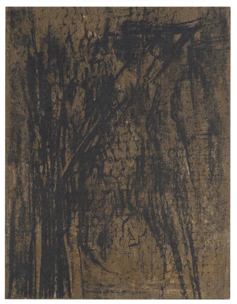 Carlos García de la Nuez -