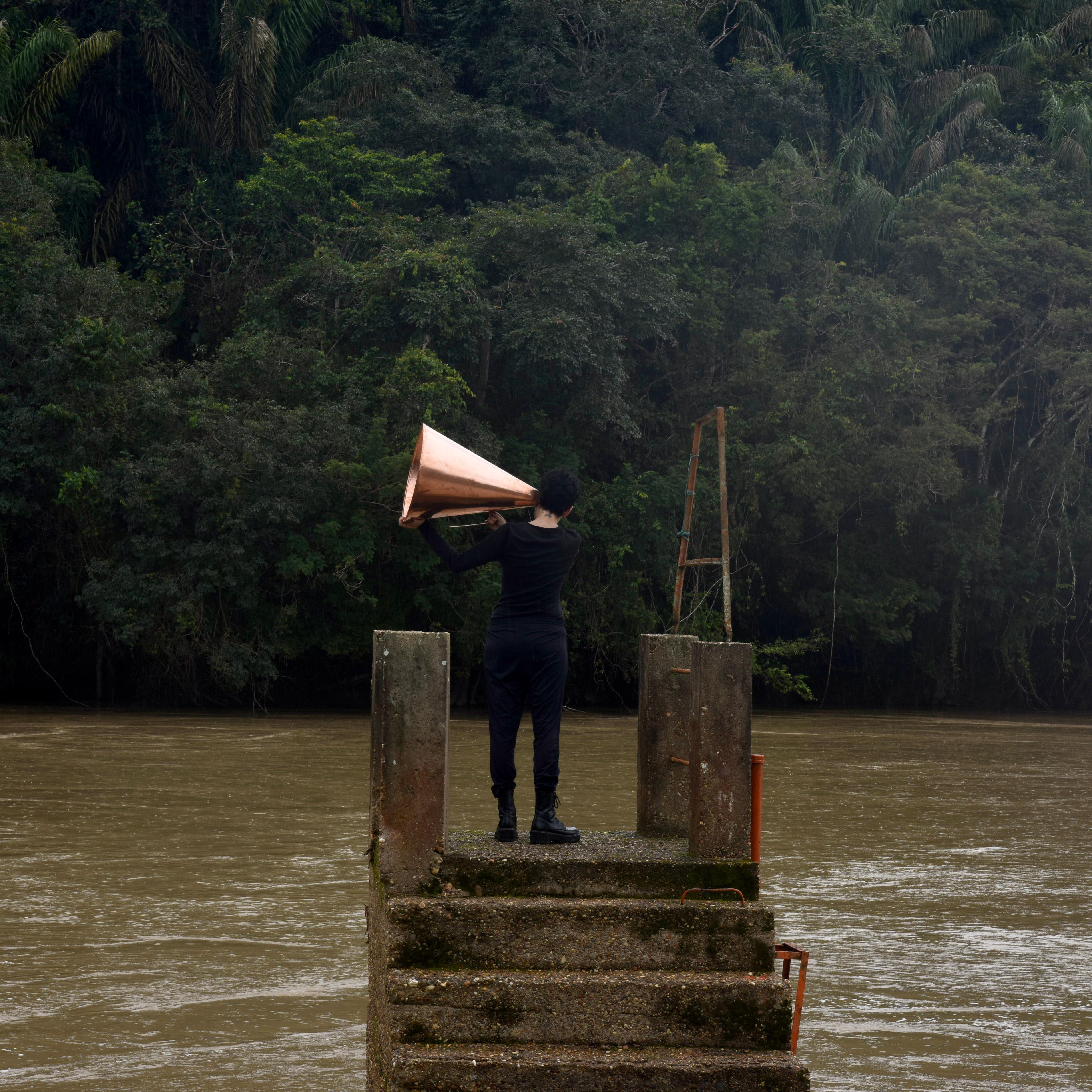 Figurative Photograph de Maria José Arjona - TODOS LOS BOSQUES POSIBLES Nº 2. Fotografía en color de edición limitada.