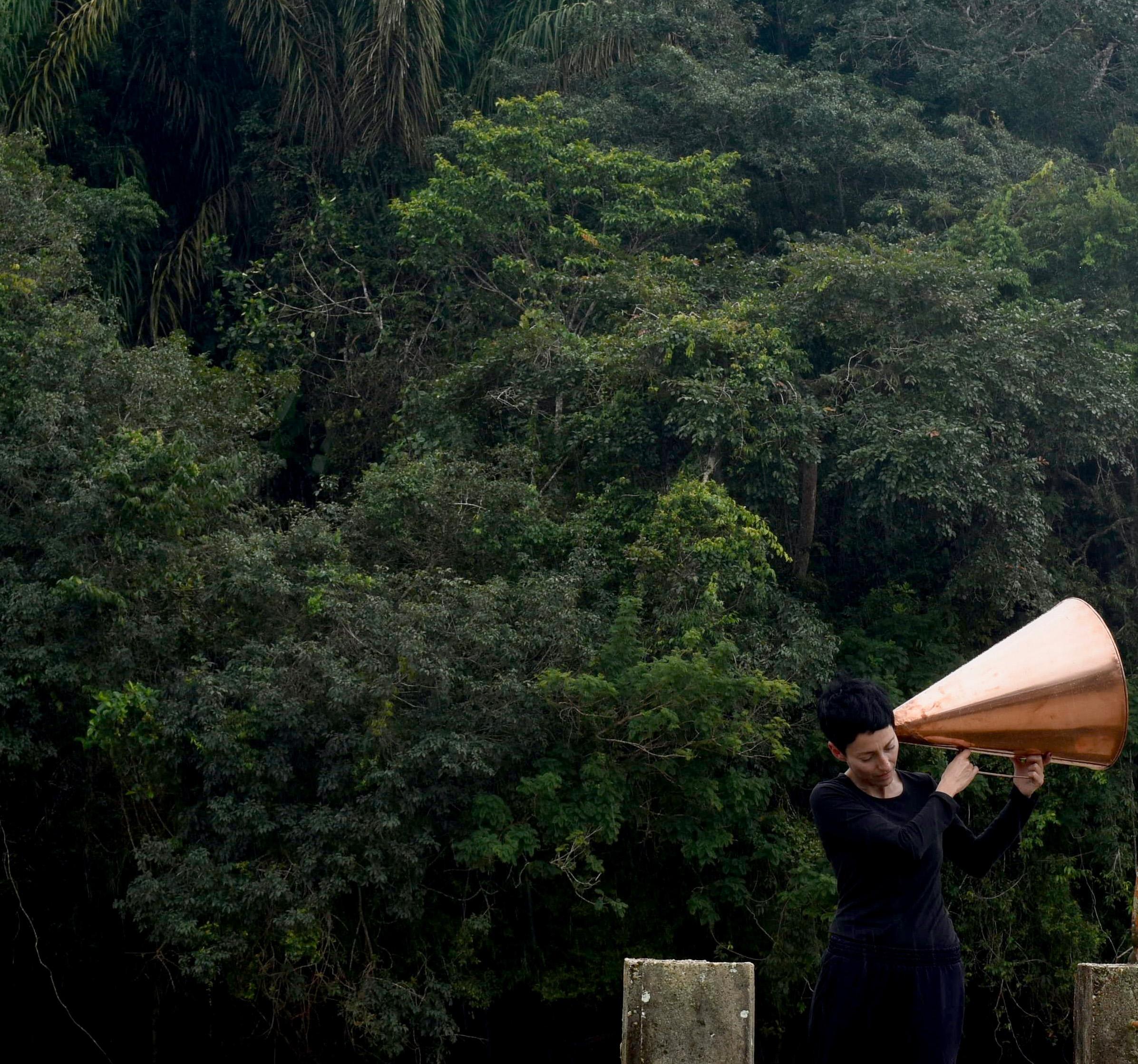 TODOS LOS BOSQUES POSIBLES Nº 3. Fotografía en color de edición limitada. - Photograph Contemporáneo de Maria José Arjona