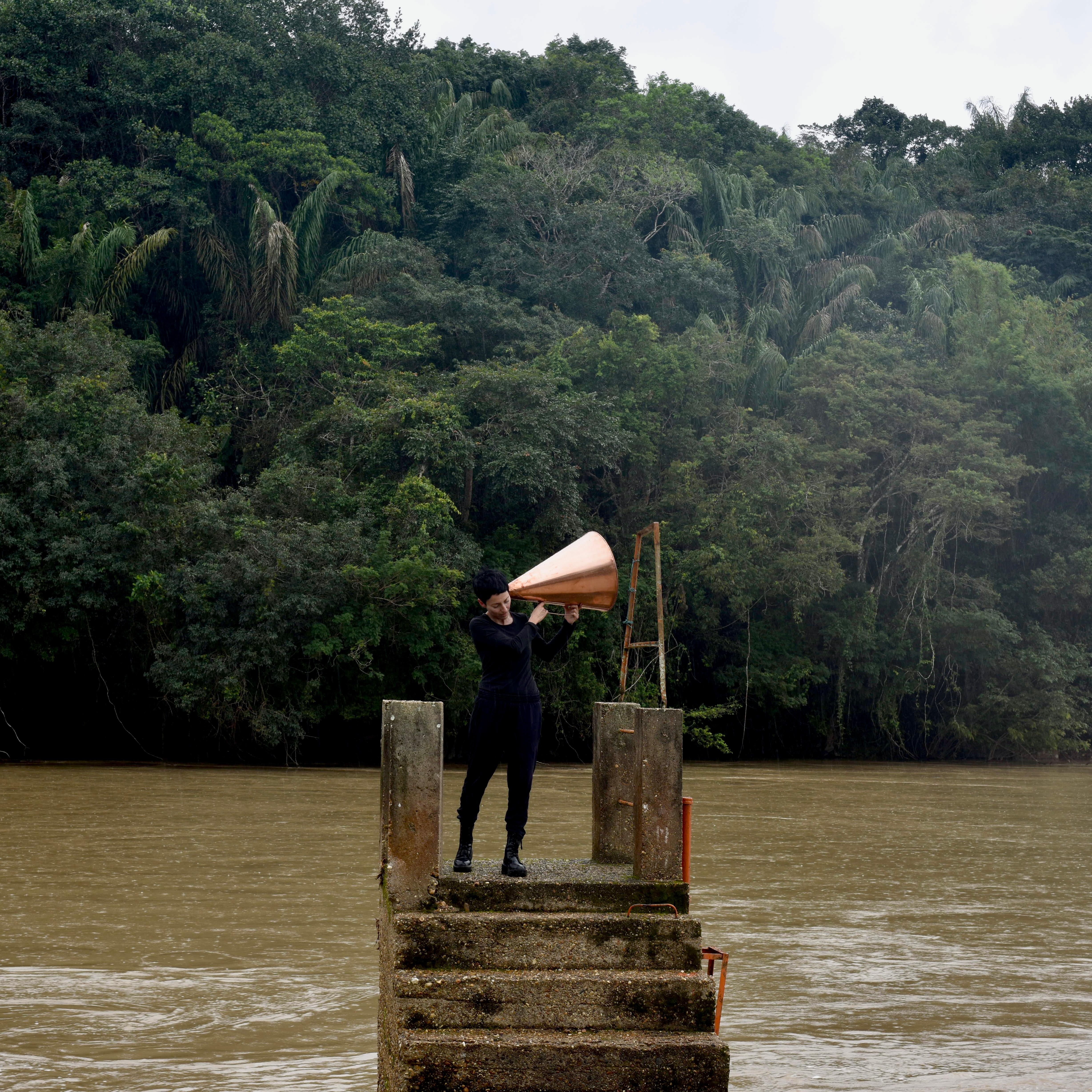 Figurative Photograph de Maria José Arjona - TODOS LOS BOSQUES POSIBLES Nº 3. Fotografía en color de edición limitada.