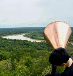 ALL POSSIBLE FORESTS #4. Limited Edition Color Photograph.