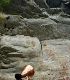 ALL POSSIBLE FORESTS #6. Limited Edition Color Photograph.