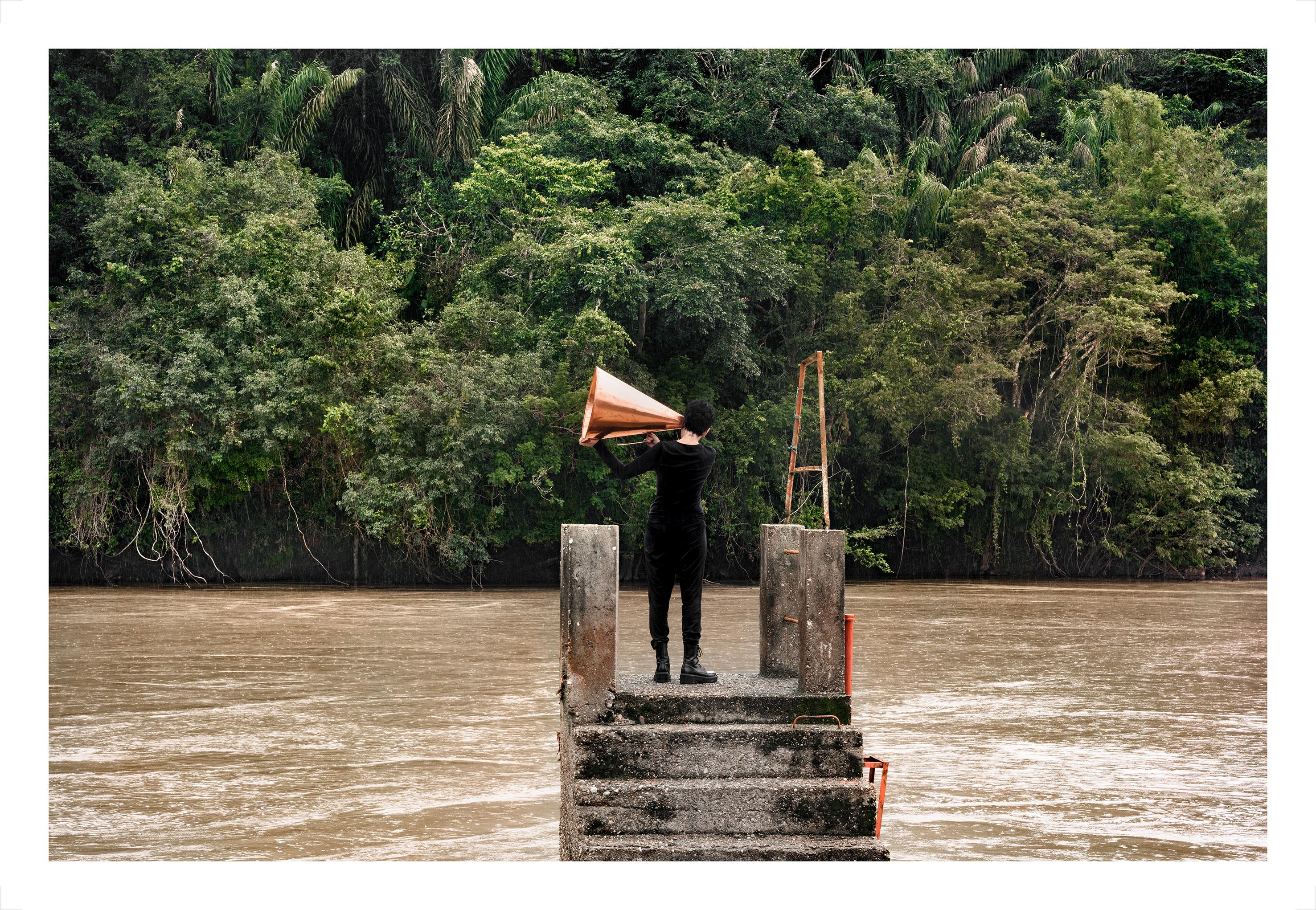 ALL POSSIBLE FORESTS Portfolio, 2022- 2023. Limited Edition Color Photograph. For Sale 7