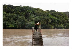 ALL POSSIBLE FORESTS Portfolio, 2022- 2023. Farbfotografie in limitierter Auflage.