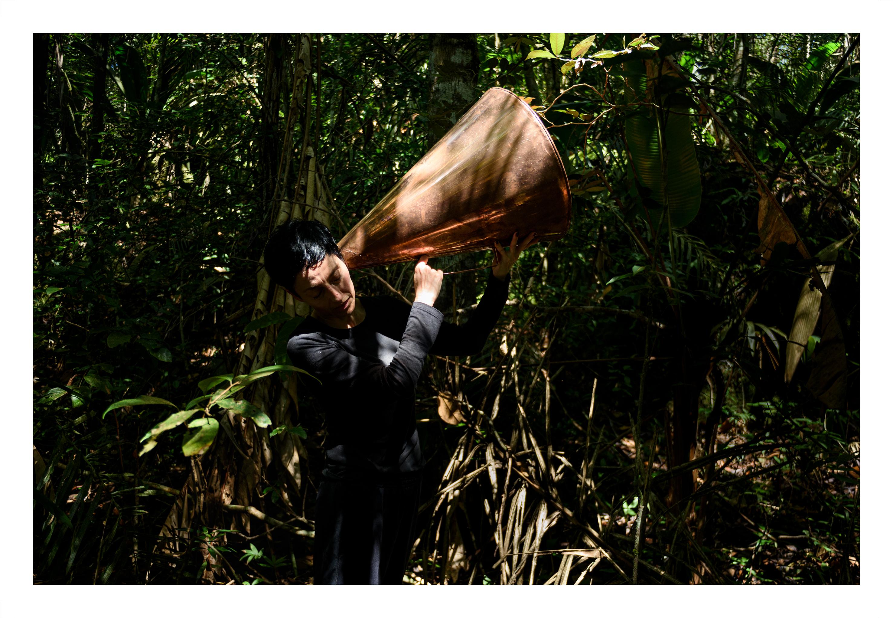 ALL POSSIBLE FORESTS Portfolio, 2022- 2023. Limited Edition Color Photograph. For Sale 2