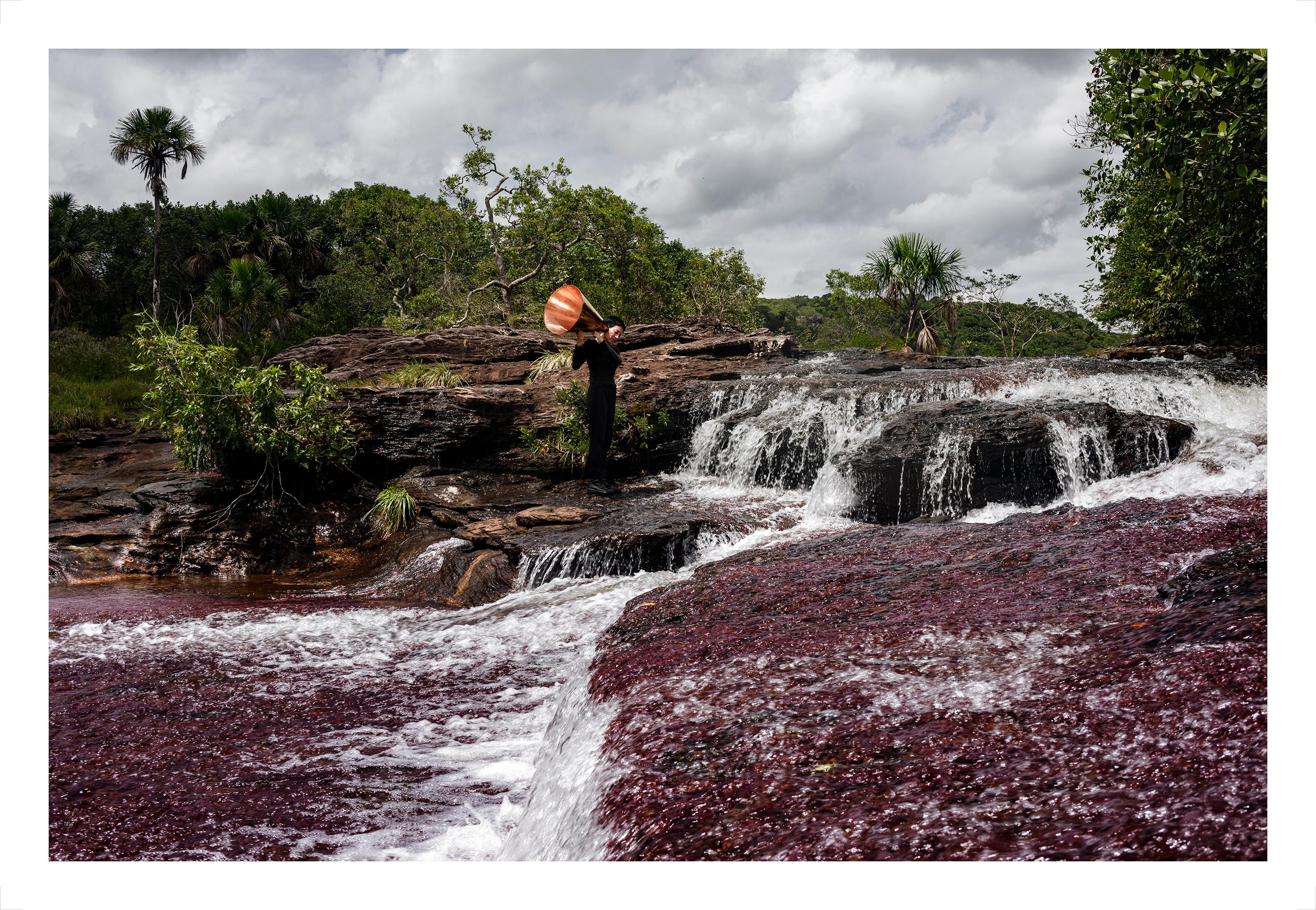 ALL POSSIBLE FORESTS Portfolio, 2022- 2023. Limited Edition Color Photograph. For Sale 3