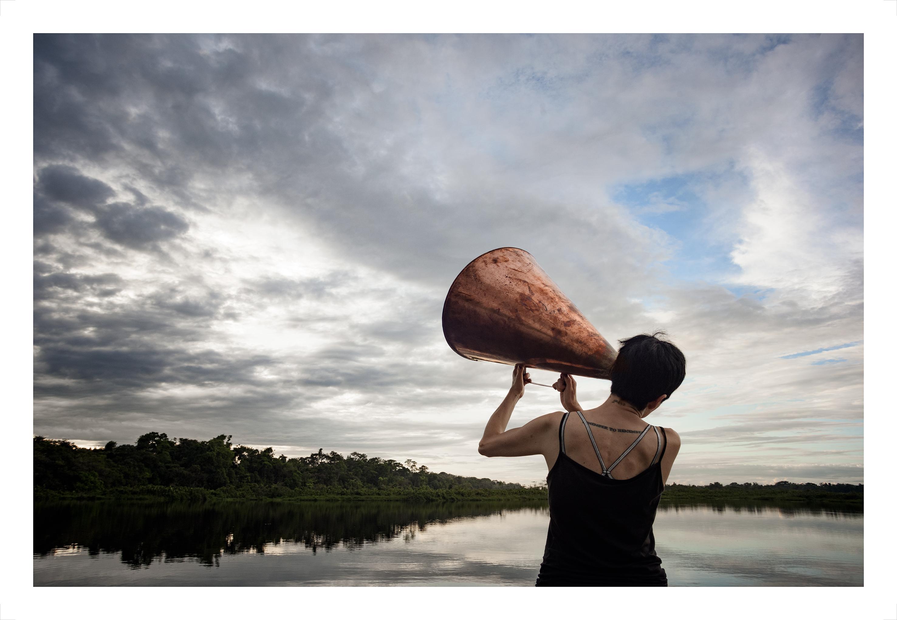 ALL POSSIBLE FORESTS Portfolio, 2022- 2023. Limited Edition Color Photograph. For Sale 5