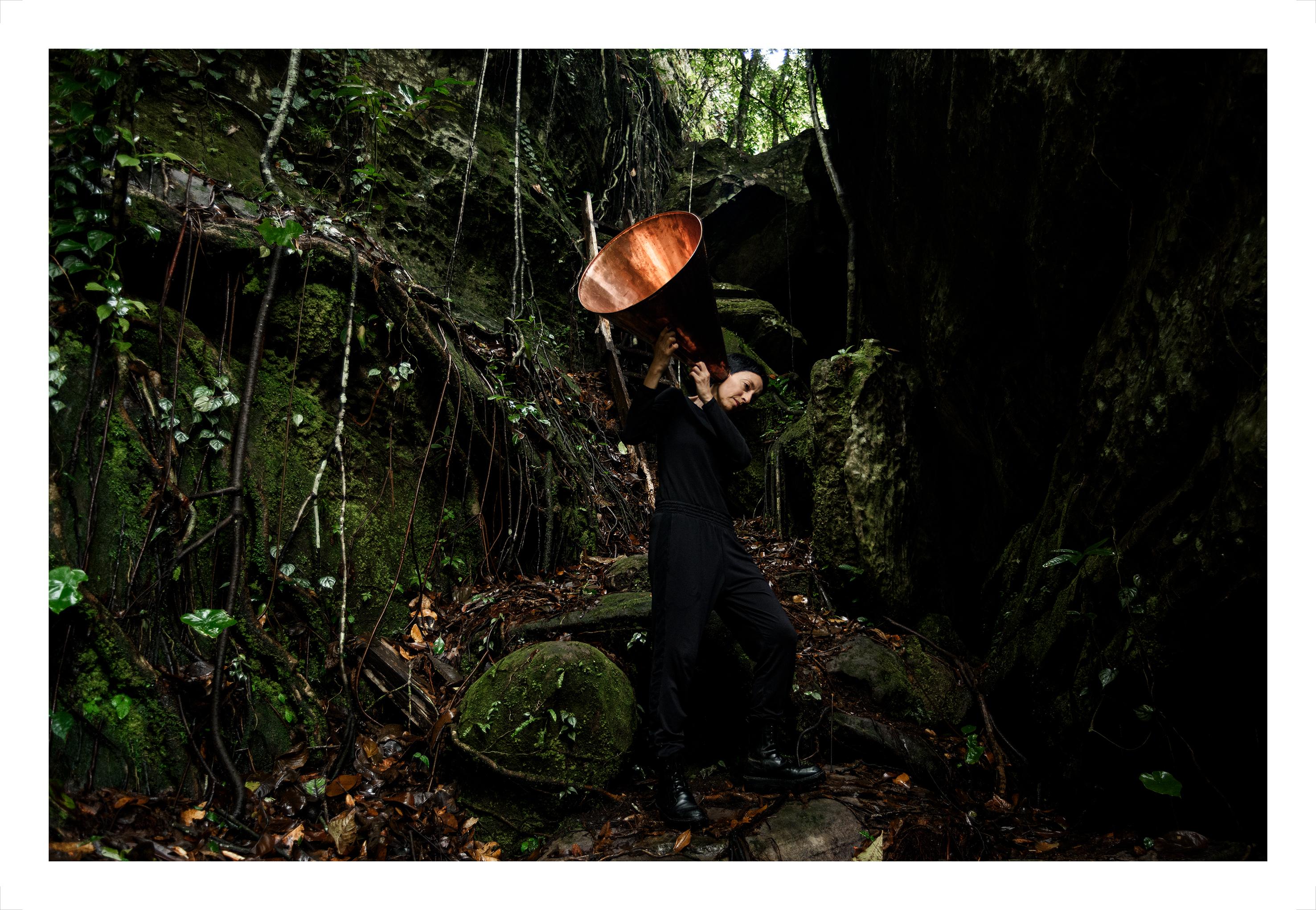 ALL POSSIBLE FORESTS Portfolio, 2022- 2023. Limited Edition Color Photograph. For Sale 6