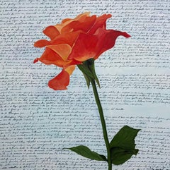 Delicate Fire, peinture originale