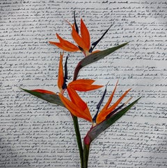 Paradiso, dipinto originale