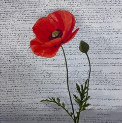 Résilience, peinture originale