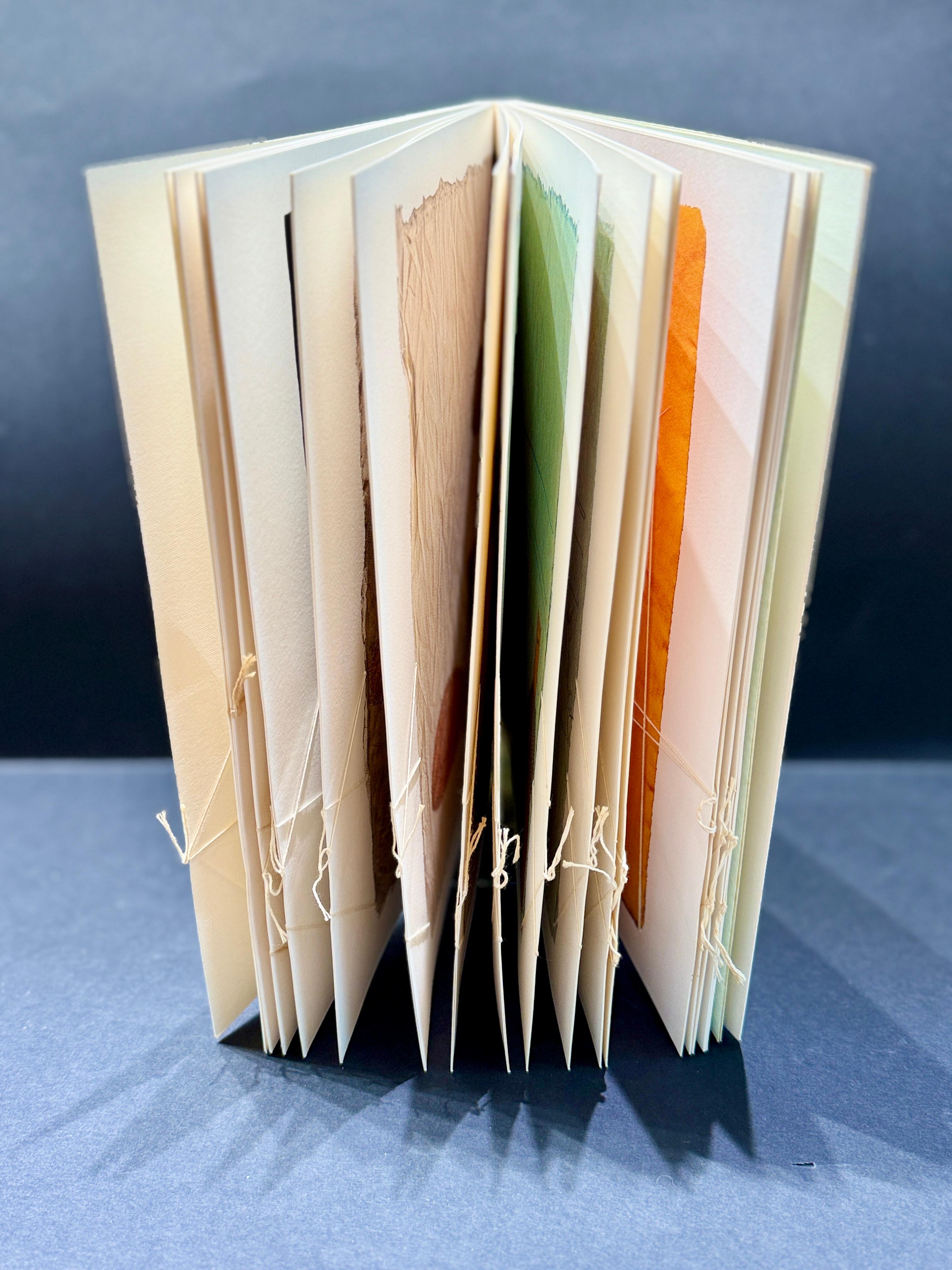Maria Lai (1919-2013) - Il Dio distratto - Livre avec des interventions de l'artiste