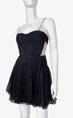 Maria Lucia Hohan pleated dress