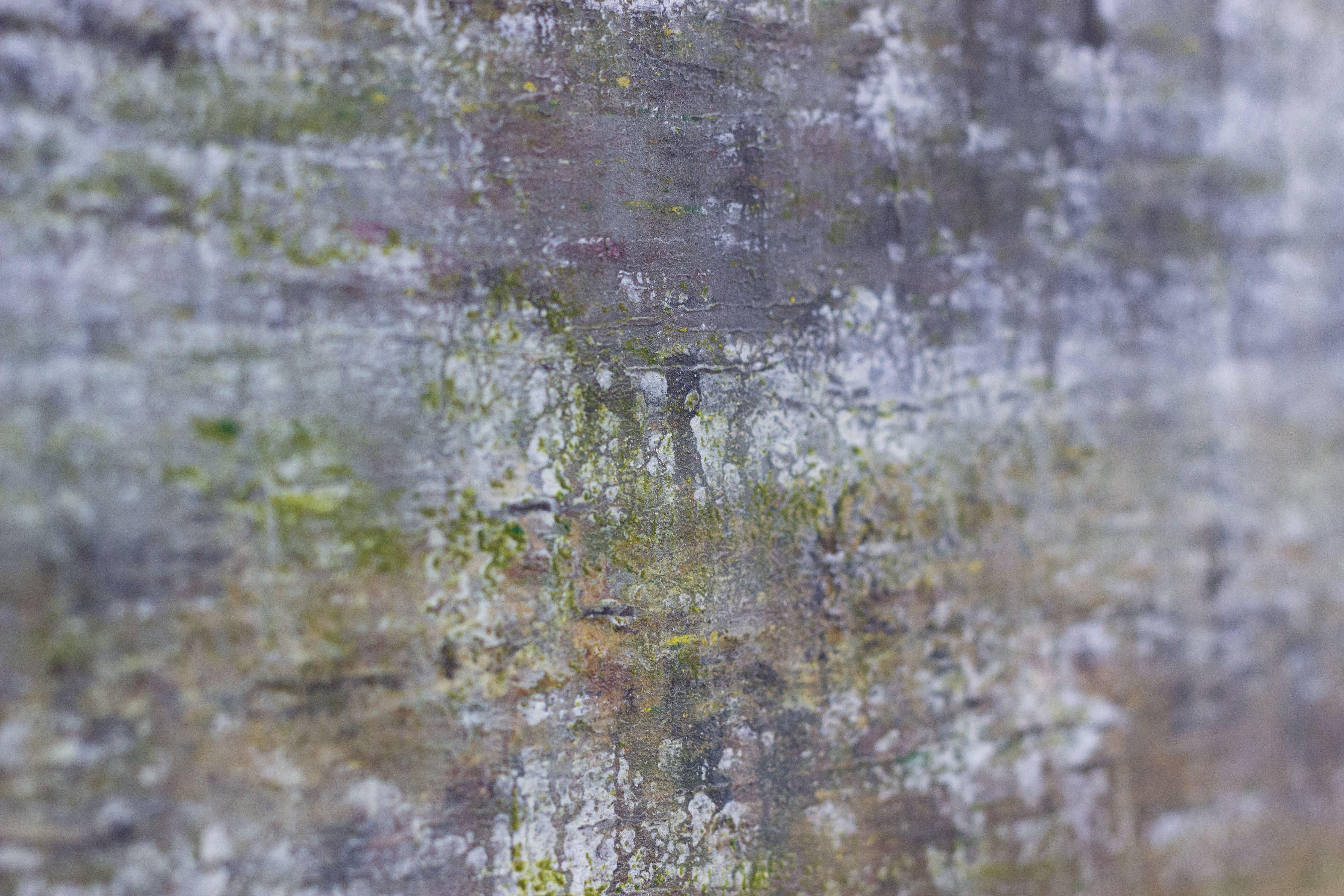 Senza titolo 1033 - 21° secolo, Arte contemporanea, Astratto, Pittura acrilica 1