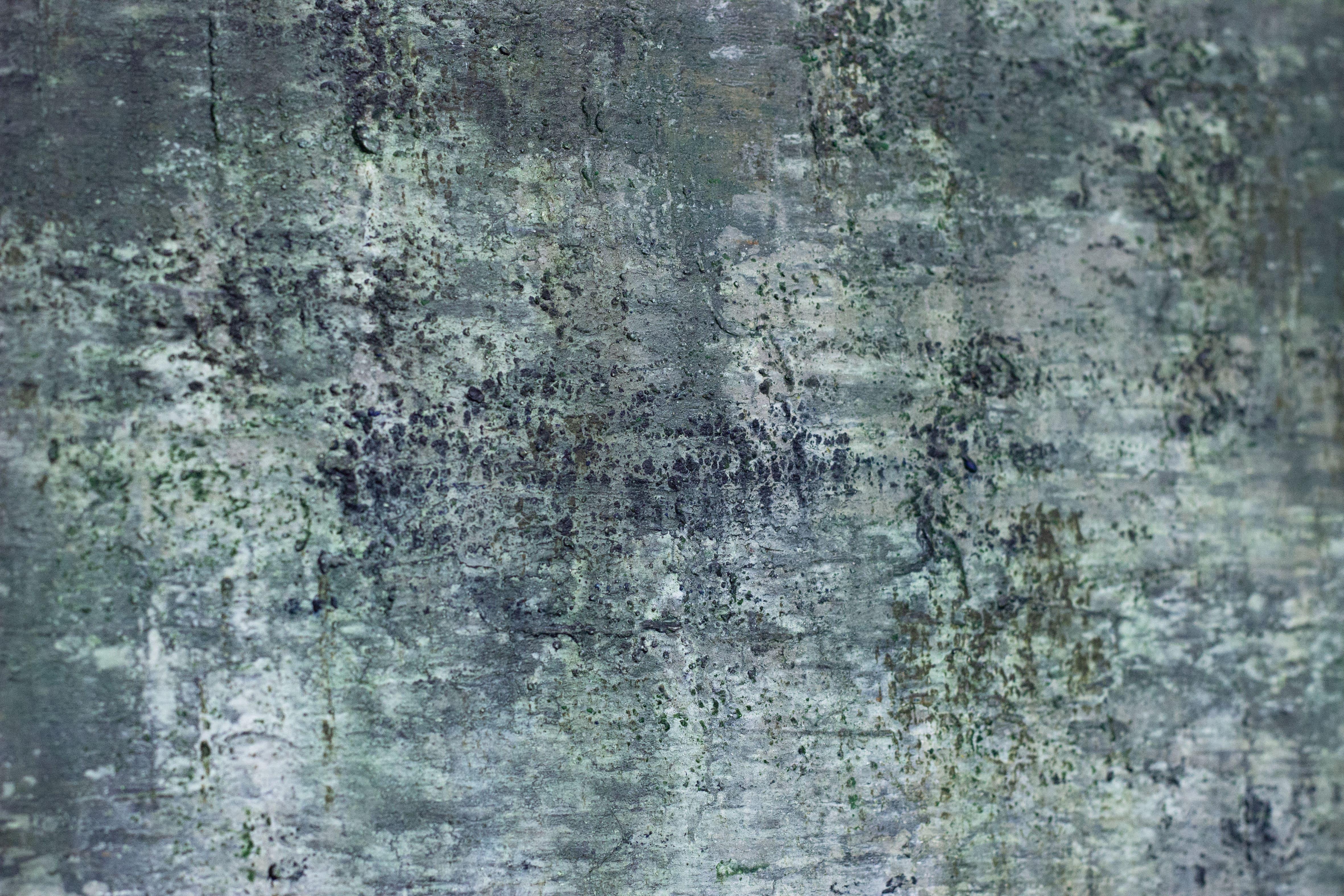 Senza titolo 1069- 21° secolo, Arte contemporanea, Astratto, Pittura acrilica - Painting Contemporaneo di Maria Paola Coda