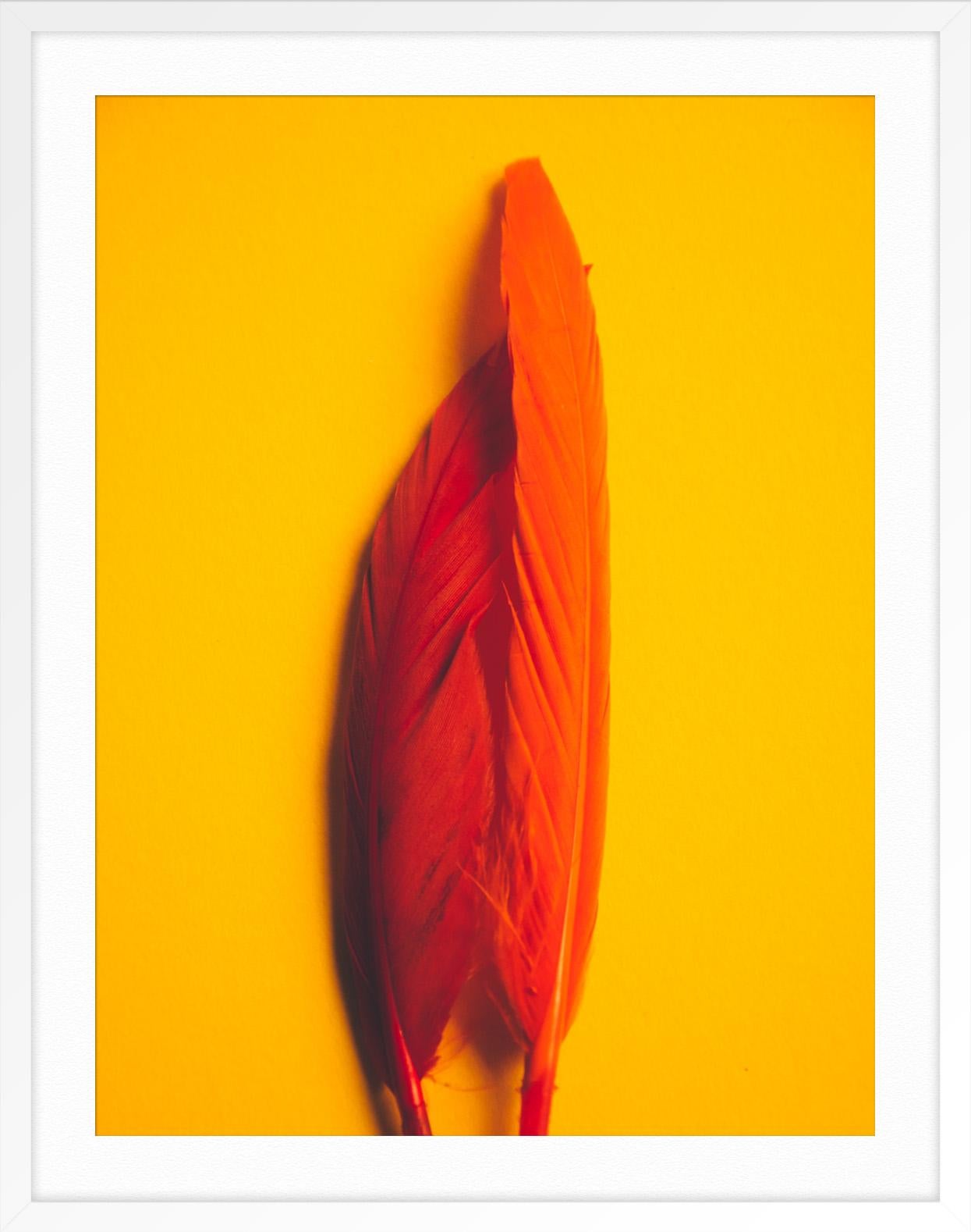 Feather or Not 2 - Orange Abstract Print by Maria Piessis