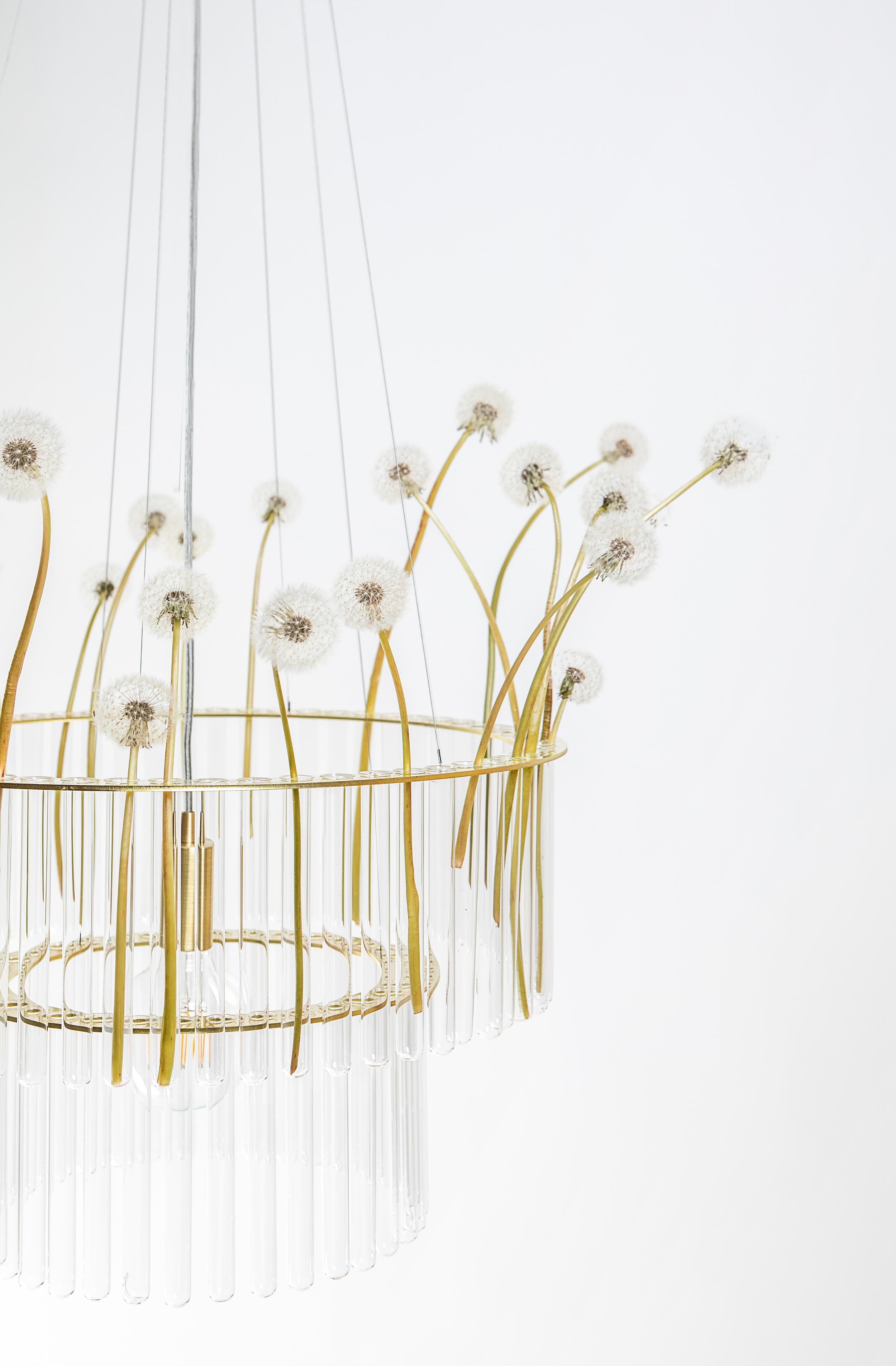 Contemporary MARIA SC chandelier in brass For Sale