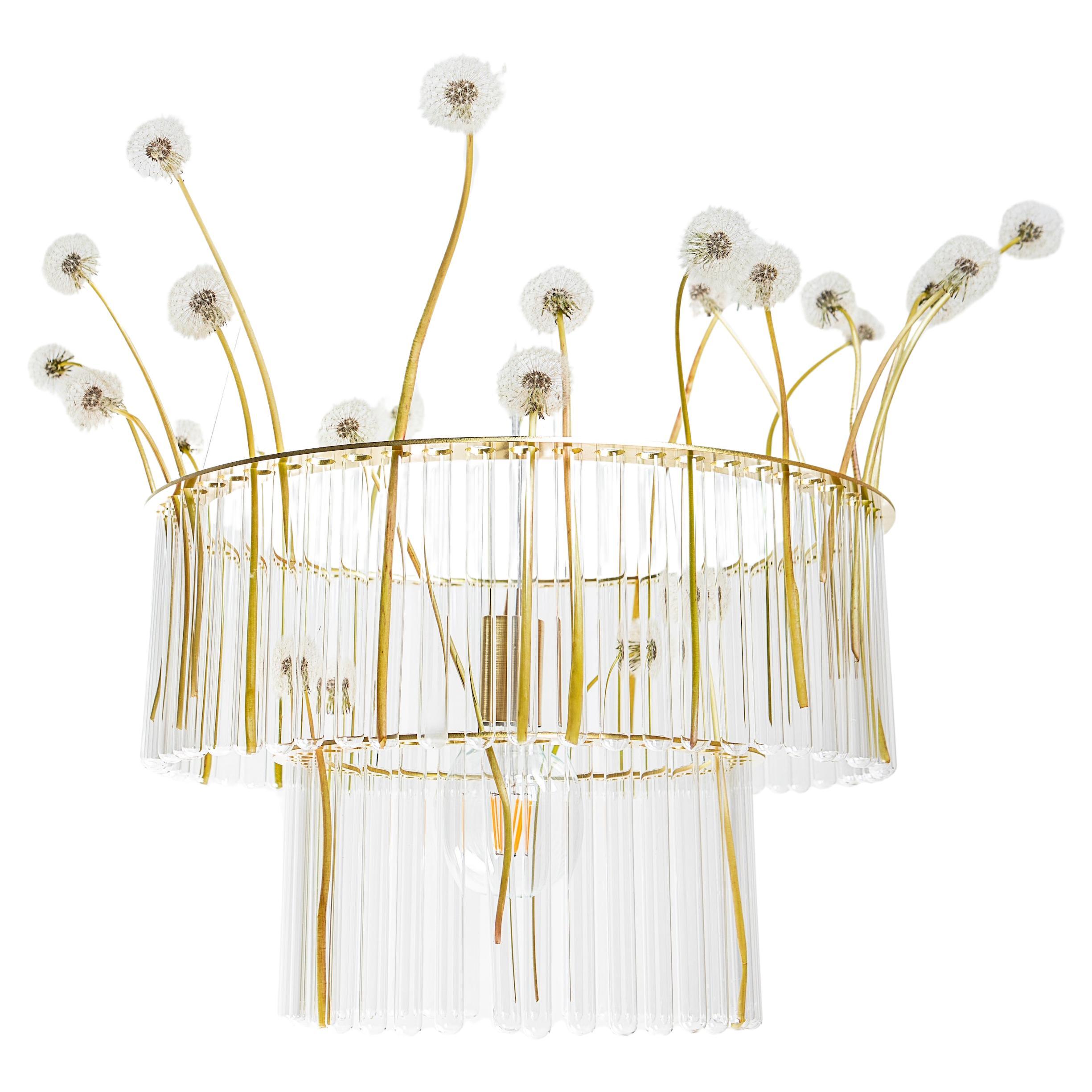 Maria S.C. chandelier is made from laboratory test tubes, set in two brass bands. Surprising material and geometric shape makes this lamp both classic and modern. It recalls Art Deco forms in a unique contemporary way. The use of ready-made objects