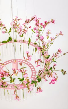 Lustre MARIA SC en rose