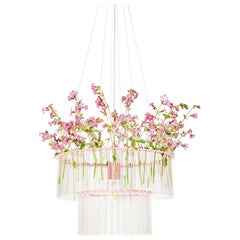 Lampadario MARIA SC in rosa