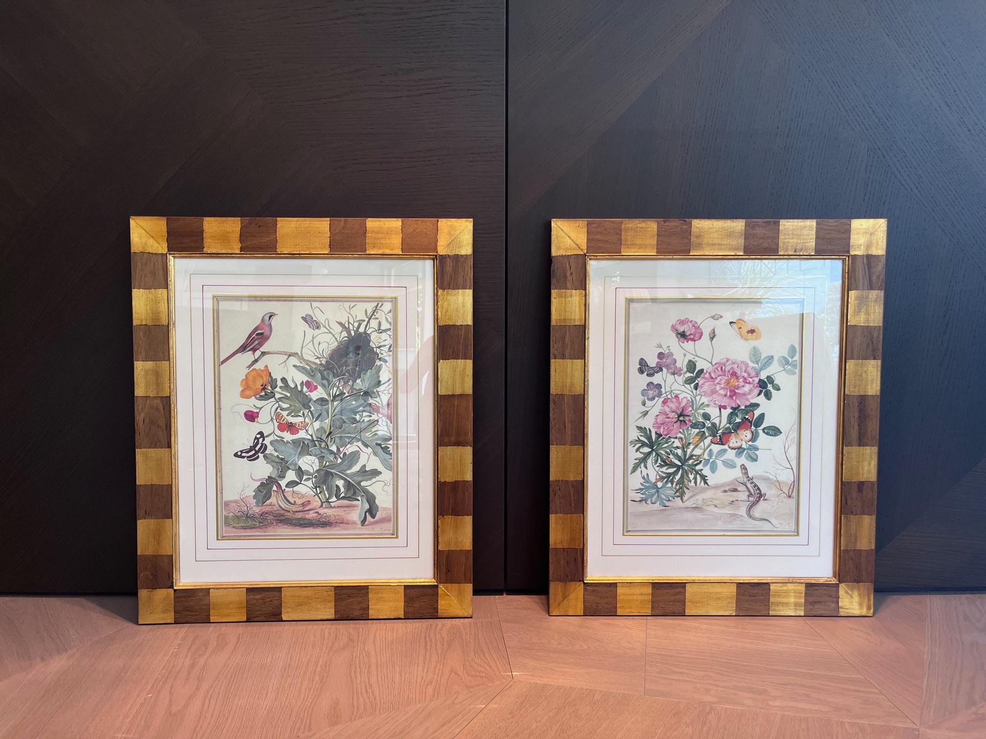 Maria Sibylla Merian - Handkolorierte Kupferstich-Reproduktionen im Angebot 2