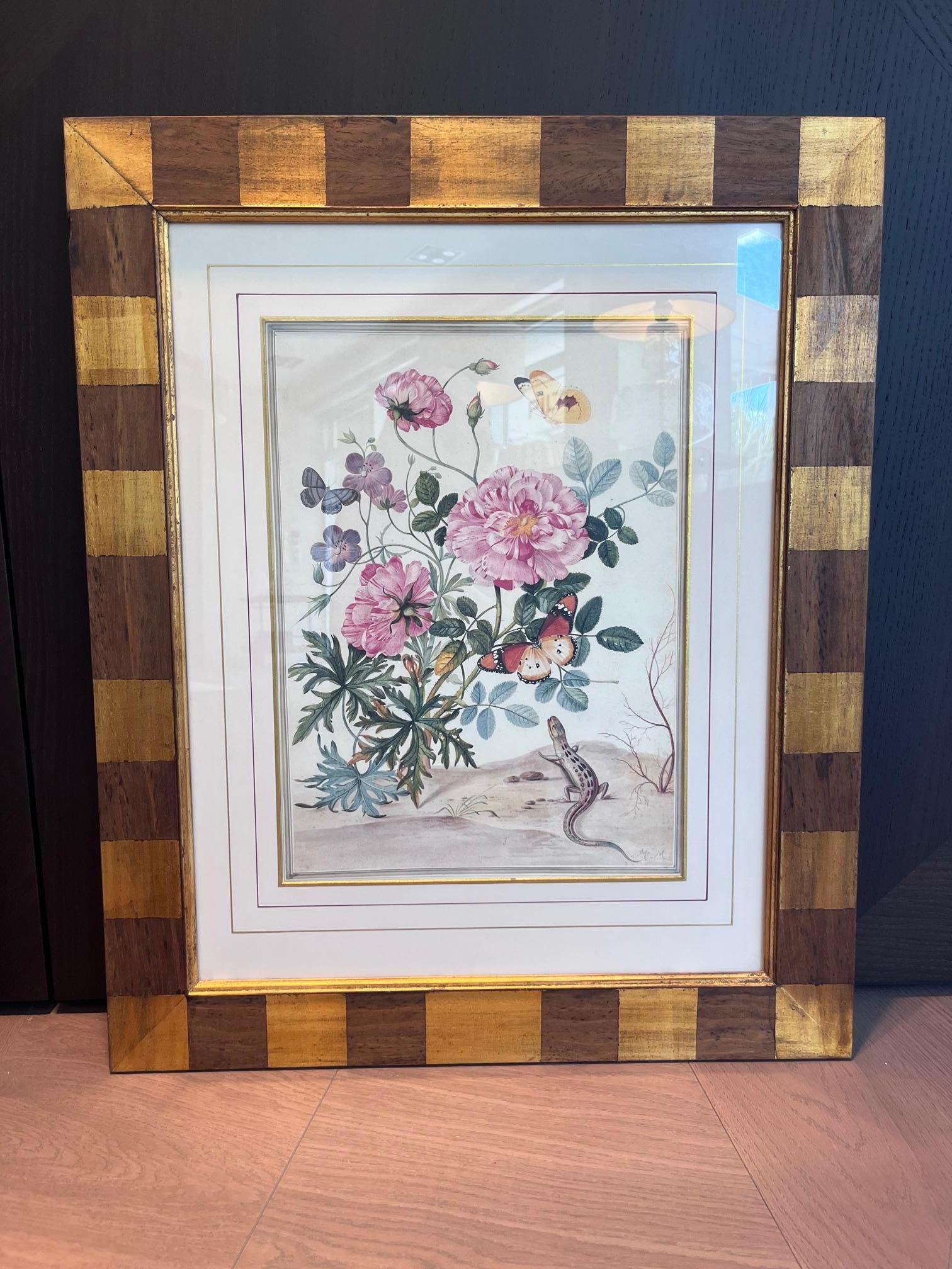 Originalstücke aus der berühmten Trowbridge Gallery, London



Wir bieten zwei außergewöhnliche handkolorierte Kupferstiche nach originalen botanischen Illustrationen von Maria Sibylla Merian (1647-1717) - einer der einflussreichsten