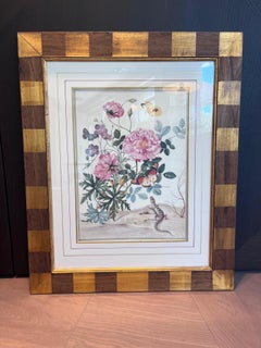 Maria Sibylla Merian – Hand-Colored Copperplate Reproductions