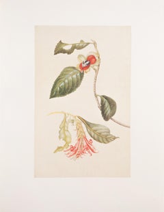 25. Spray of flowers, not clearly identifiable
