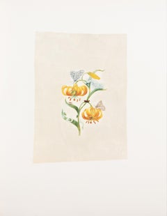 42. Martagon-Lily, Frosch-Hopper, Acronicta leporina, Schleifenförmiger, Eichhörnchen