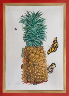 Die Ananas-Früchte.