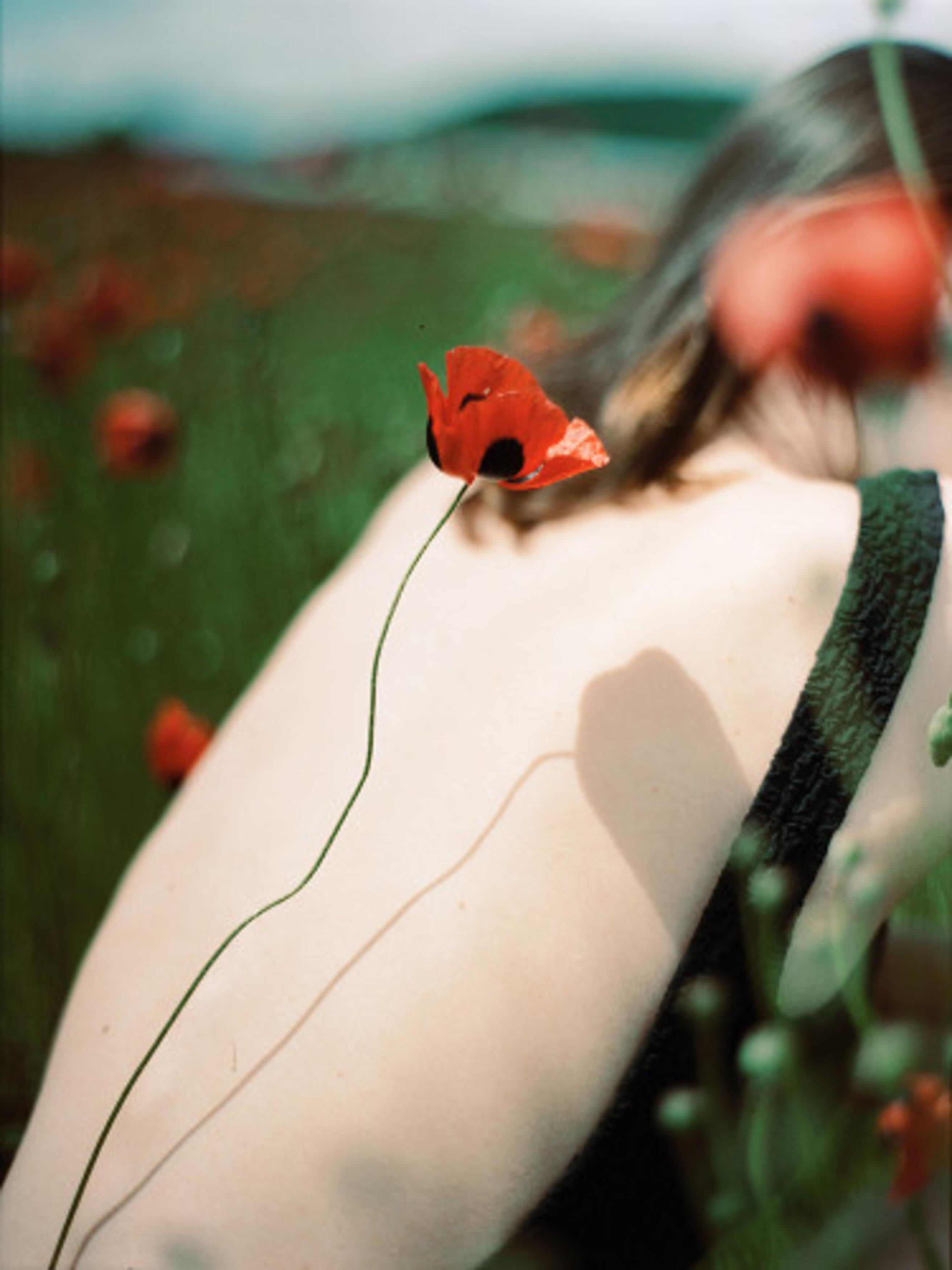 Picnic in a Poppy Field 2 - Photograph by Mariam Sitchinava