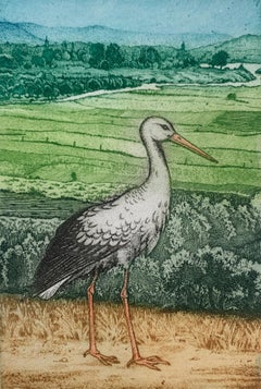 A stork. Contemporary figurative print, Animal, Bird, Colourful, Polish artist